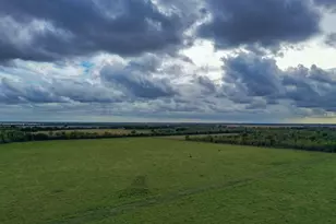 Tbd Boswick, Liverpool, TX 77577 - Photo 5