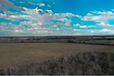 Tbd Boswick, Liverpool, TX 77577 - Photo 25