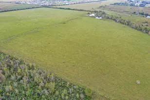 Tbd Boswick, Liverpool, TX 77577 - Photo 17