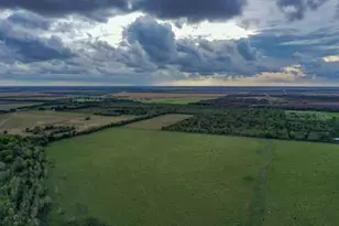 Tbd Boswick, Liverpool, TX 77577 - Photo 7