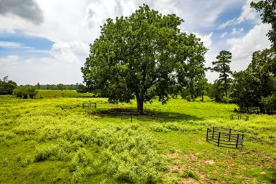 Tbd 1375 Road E, New Waverly, TX 77358 - Photo 29