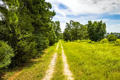 Tbd 1375 Road E, New Waverly, TX 77358 - Photo 33