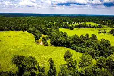 Tbd 1375 Road E, New Waverly, TX 77358 - Photo 17