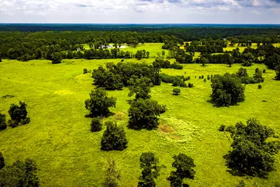 Tbd 1375 Road E, New Waverly, TX 77358 - Photo 19