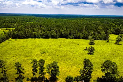 Tbd 1375 Road E, New Waverly, TX 77358 - Photo 15