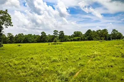 Tbd 1375 Road E, New Waverly, TX 77358 - Photo 31