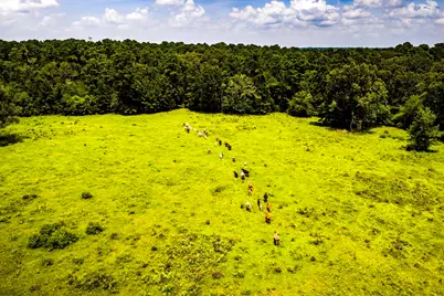 Tbd 1375 Road E, New Waverly, TX 77358 - Photo 7