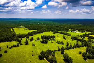 Tbd 1375 Road E, New Waverly, TX 77358 - Photo 5