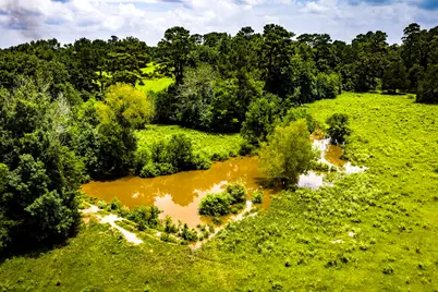 Tbd 1375 Road E, New Waverly, TX 77358 - Photo 9