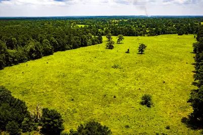 Tbd 1375 Road E, New Waverly, TX 77358 - Photo 11