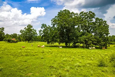 Tbd 1375 Road E, New Waverly, TX 77358 - Photo 3