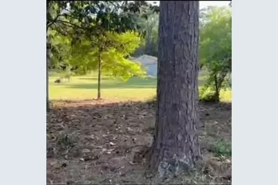 220 Cherokee Trail, Livingston, TX 77351 - Photo 11