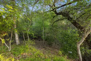 907/915 N Jefferson St, La Grange, TX 78945 - Photo 13