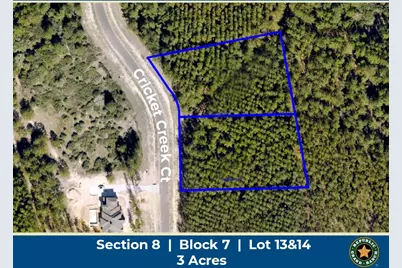 15618 Cricket Creek Court, Willis, TX 77378 - Photo 1