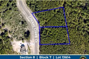 15618 Cricket Crk Ct, Willis, TX 77378 - Photo 1