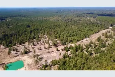 17224 Fm 943, Livingston, TX 77351 - Photo 3