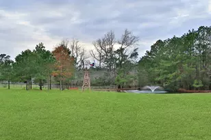 522 Whispering Meadow, Magnolia, TX 77355 - Photo 43