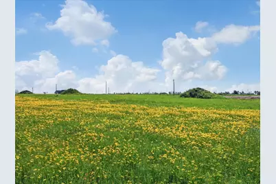 Lot 66 121 Oak Hollow Court, Cat Spring, TX 78933 - Photo 11