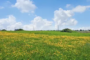 Lot 66 121 Oak Holw Ct, Cat Spring, TX 78933 - Photo 11