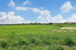 Lot 66 121 Oak Holw Ct, Cat Spring, TX 78933 - Photo 9