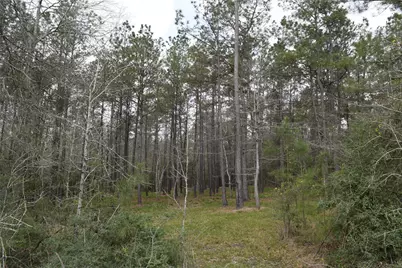 309 Exploration Road, Willis, TX 77378 - Photo 17