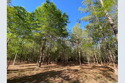 309 Exploration Road, Willis, TX 77378 - Photo 1