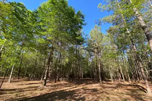 309 Exploration Rd, Willis, TX 77378 - Photo 1