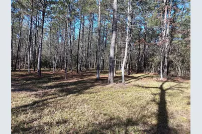 309 Exploration Road, Willis, TX 77378 - Photo 27