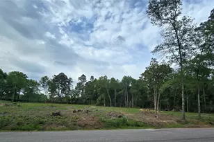3805 Piney Point Rd, Conroe, TX 77301 - Photo 1