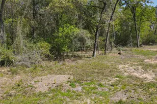 3805 Piney Point Rd, Conroe, TX 77301 - Photo 19