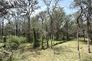 153 Carissa Ln, Red Rock, TX 78662 - Photo 15