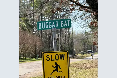 Tbd Bugger Bat, Trinity, TX 75862 - Photo 9