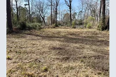 Tbd Bugger Bat, Trinity, TX 75862 - Photo 3