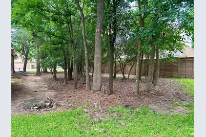 11534 Twain Drive, Montgomery, TX 77356 - Photo 3
