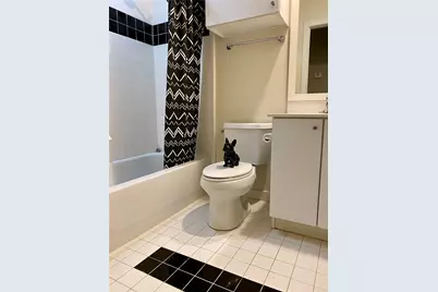 823 Robin Street, Houston, TX 77019 - Photo 11