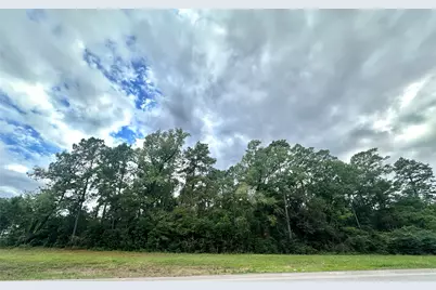 Tbd 1314, Conroe, TX 77302 - Photo 1