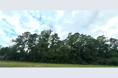 14594 Fm 1314, Conroe, TX 77302 - Photo 7