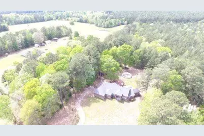 697 County Road 4330, Woodville, TX 75979 - Photo 19