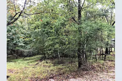 80 S Royale Greens Drive, Coldspring, TX 77331 - Photo 3