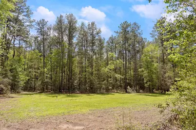 2A Sundog Road, Huntsville, TX 77340 - Photo 19