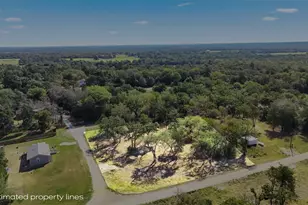 Tbd Henge Rd, Franklin, TX 77856 - Photo 3