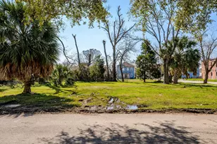 1212 Pinckney St St, Houston, TX 77009 - Photo 19