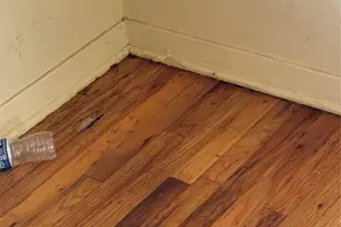 7433 Springdale St, Houston, TX 77028 - Photo 9
