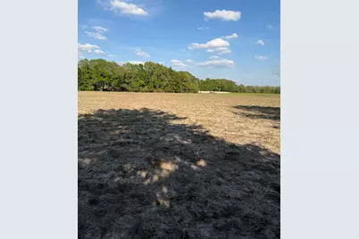 Tbd N County Road 4050, Lovelady, TX 75851 - Photo 3