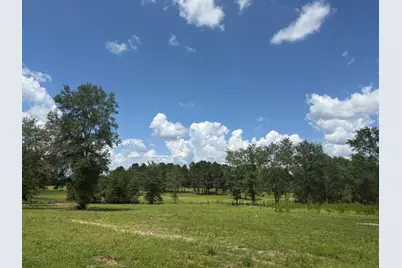 Tbd N County Road 4050, Lovelady, TX 75851 - Photo 5