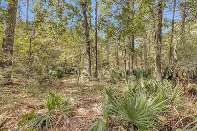 50 Firewood Road, Huntsville, TX 77340 - Photo 9