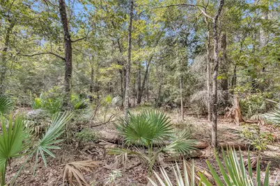 50 Firewood Road, Huntsville, TX 77340 - Photo 7