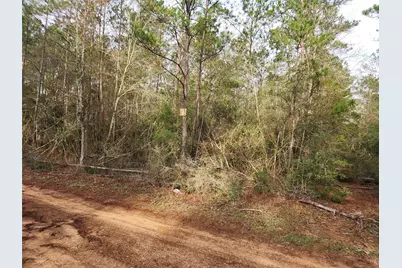 Lot 5 Pin Oak Drive, Plantersville, TX 77363 - Photo 15