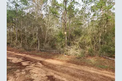 Lot 5 Pin Oak Drive, Plantersville, TX 77363 - Photo 7