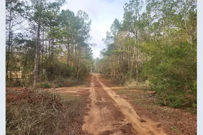 Lot 5 Pin Oak Drive, Plantersville, TX 77363 - Photo 3